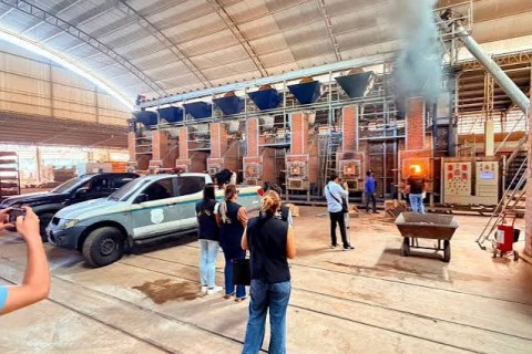 Mais de meia tonelada de drogas é destruída pela Polícia Civil em Cruzeiro do Sul após série de apreensões no Vale do Juruá