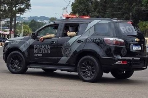 Assalto a loja termina com prisão e apreensão de dinheiro e simulacro em Cruzeiro do Sul