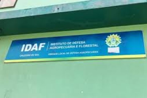 Campanha de vacinação contra a brucelose encerra nesta terça-feira; declaração segue até 10 de julho